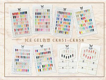 CK-ICEGEL Color ChartICE GEL Ⲽ